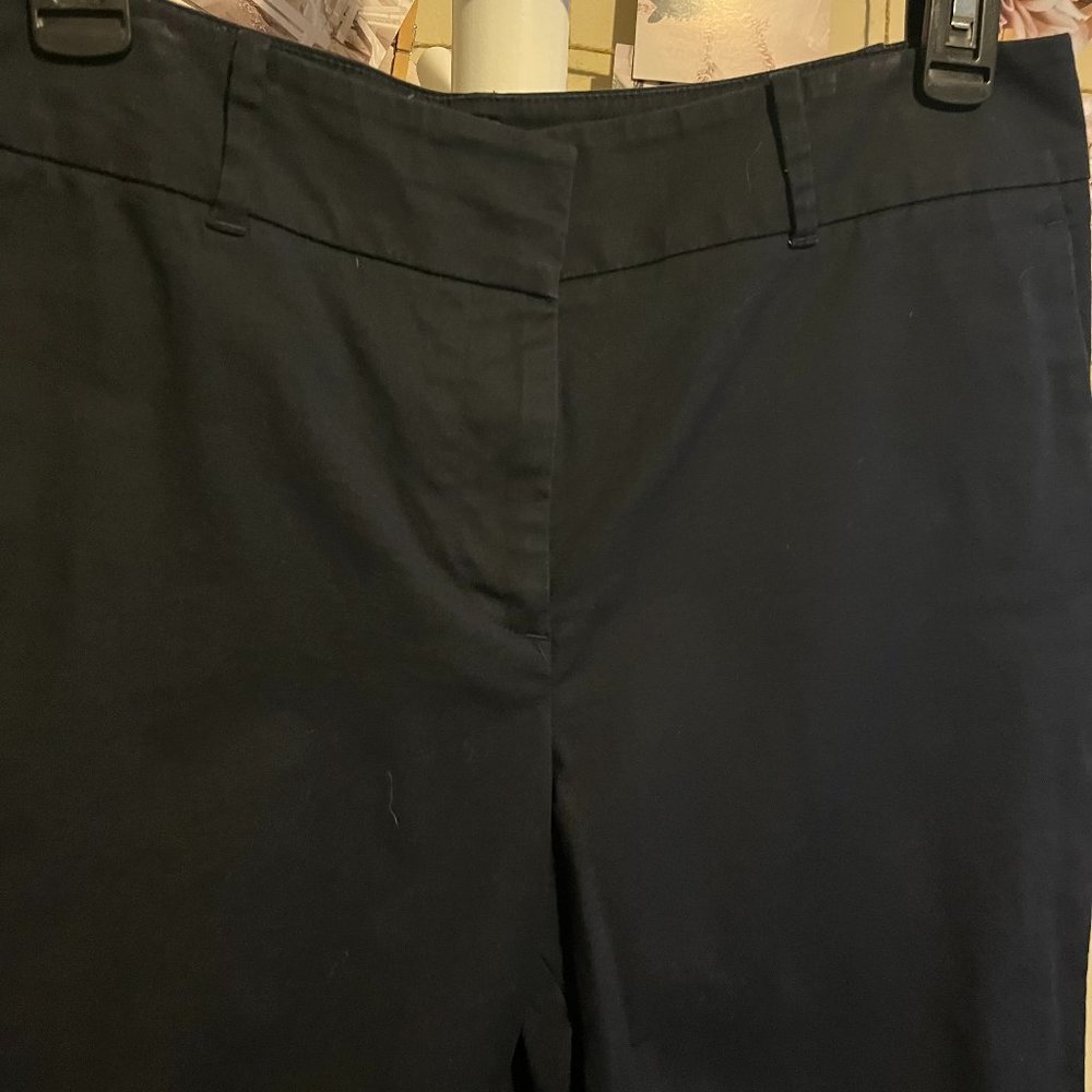 Ann Taylor Shorts